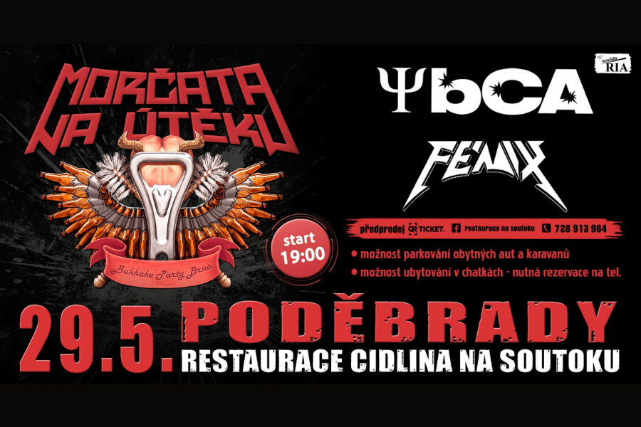 carousel image MORČATA NA ÚTĚKU Poděbrady